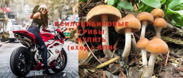 гидропоника Абдулино