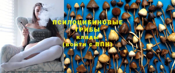 спайс Абаза
