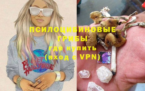 гидропоника Абдулино