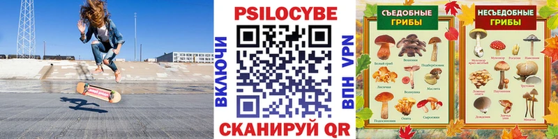 Галлюциногенные грибы Magic Shrooms  наркота  Шимановск 