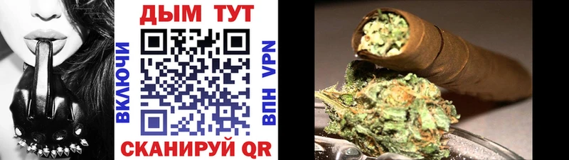 где купить   Шимановск  Канабис планчик 